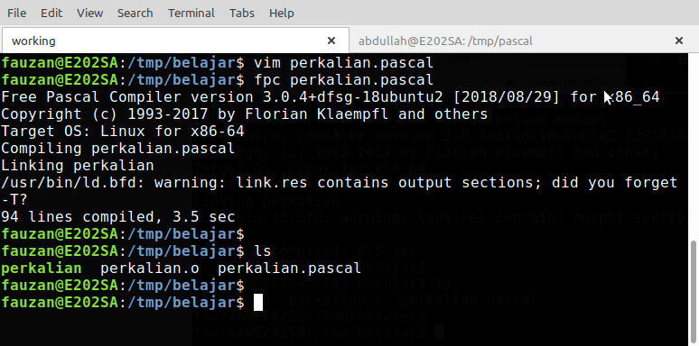 pascal0